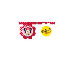 Minnie & Daisies Flag Banner