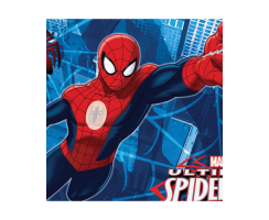 Partygame Spiderman